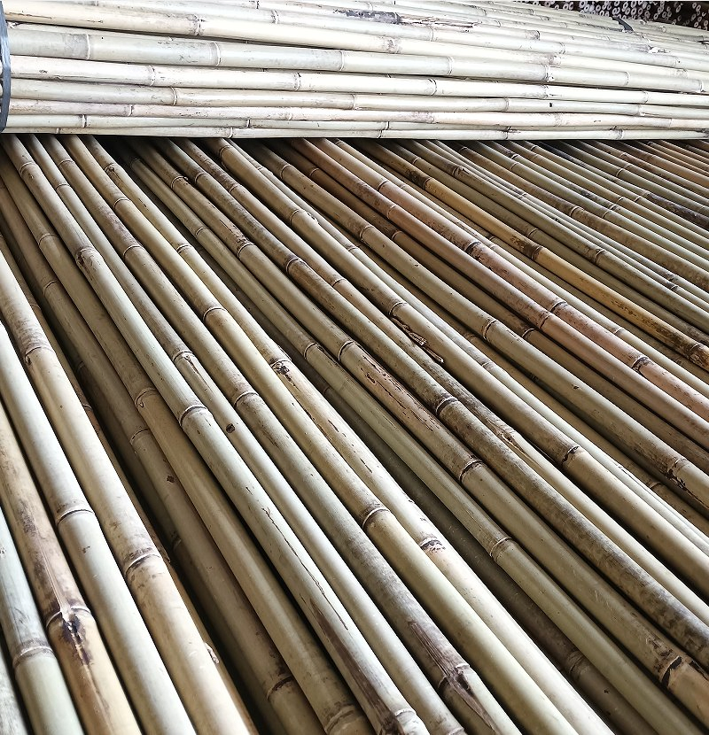 Tea Bamboo Cane Also Called Sometimes Tsinglee Bamboo Pole