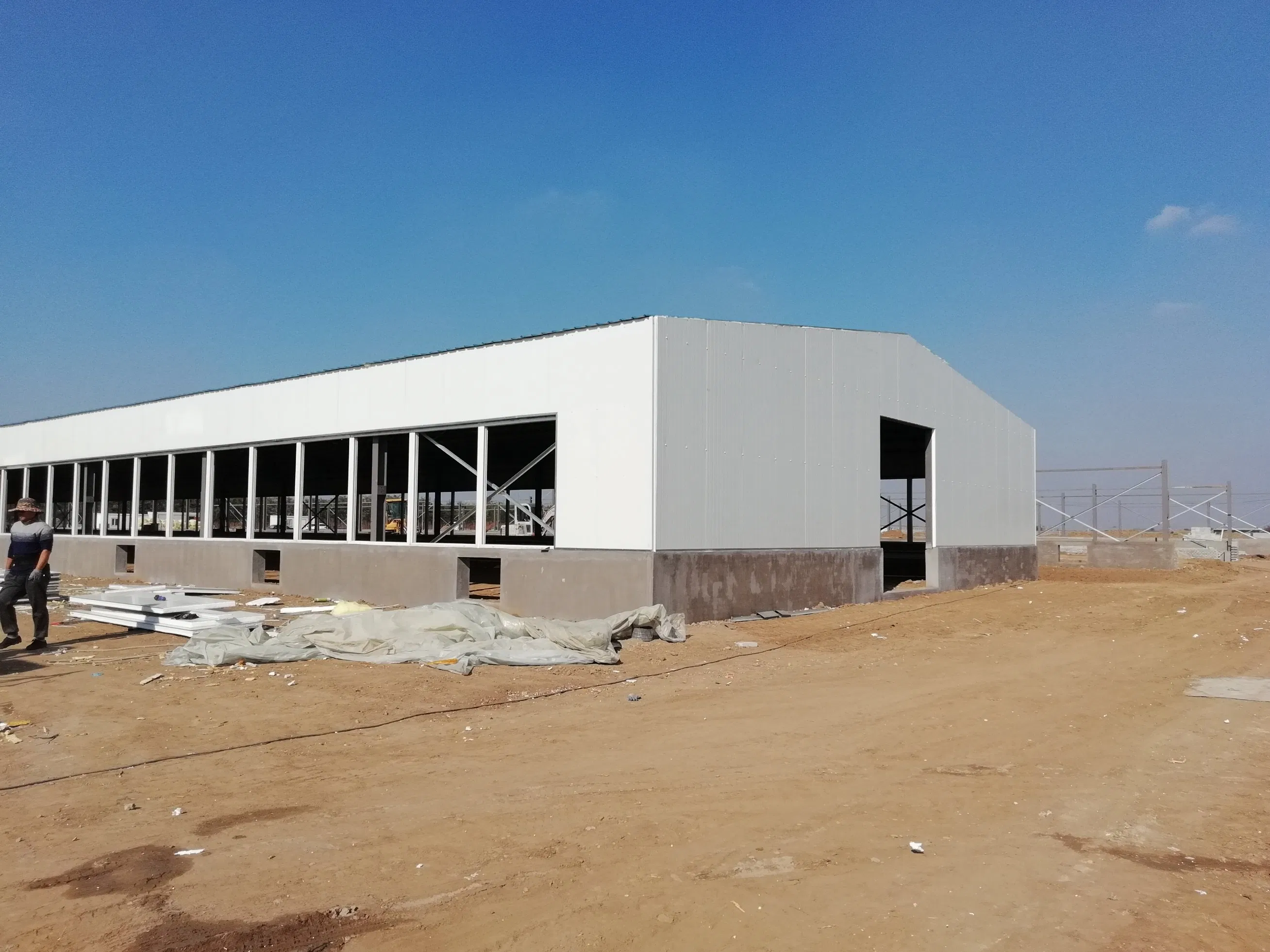 Professional Low Cost Light Steel Structure Duck House
