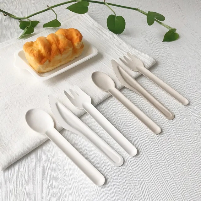 Biodegradable Cutlery Sets Eco-Friendly Sugarcane Bagasse Disposable 6inch Spoon Takeaway