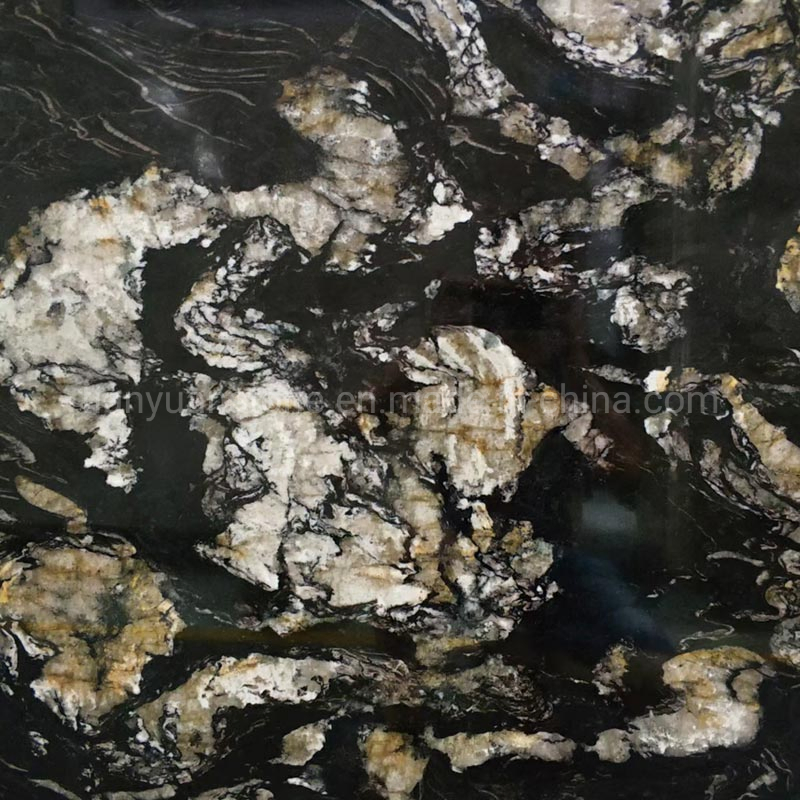 Chinese Black Silver Paradiso Granite for Countertop Bathroom Wall Tile