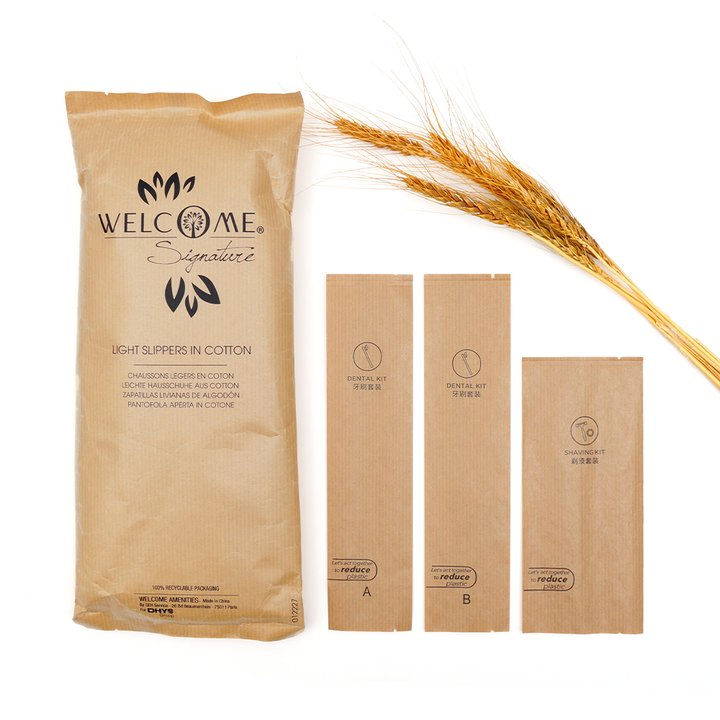 Eco Friendly Kraft Paper Bag Packaging Hotel Amenities Set
