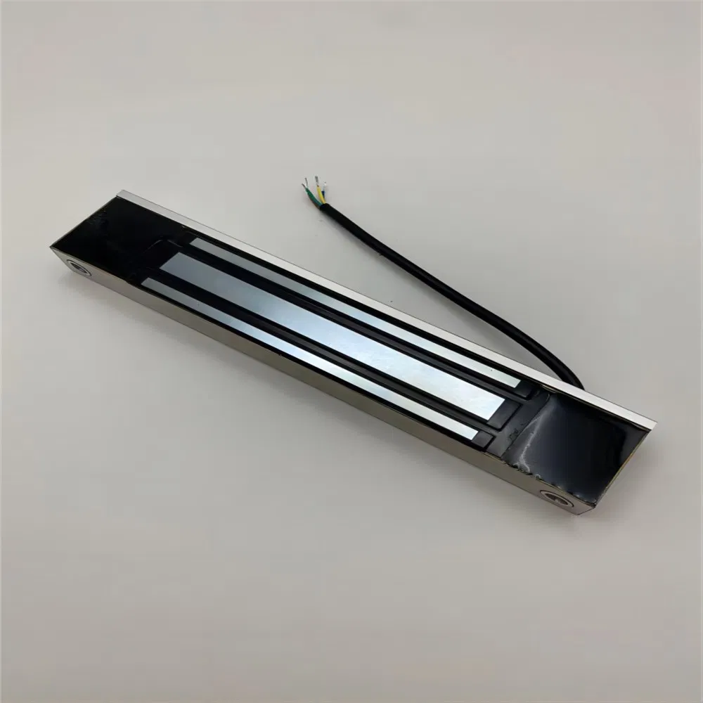 Hot Sale Double Door Delay Feedback Magnetic Lock
