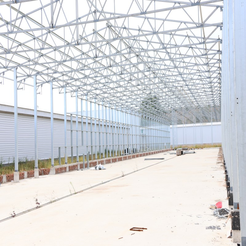 Prefabricated Galvanized Steel Structure Poultry Chicken House for Industrial Broiler Layer Farm Building System