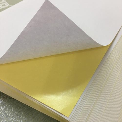 Thermal Self Adhesive Sticker Paper Jumbo Roll Factory