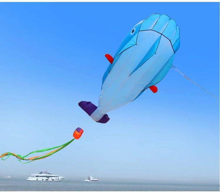 Large Adult Wind Resistant Easy Windy Outdoor Leisure Sports Flying Kite