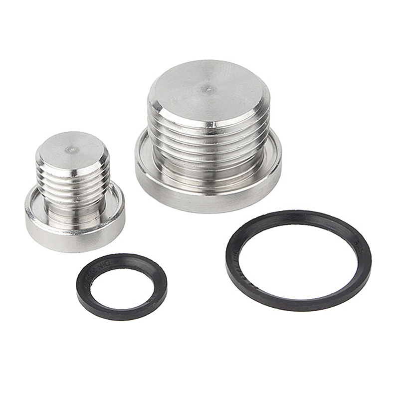 304 Stainless Steel Countersunk Plug Solid with Flange Hex Head ED Plug