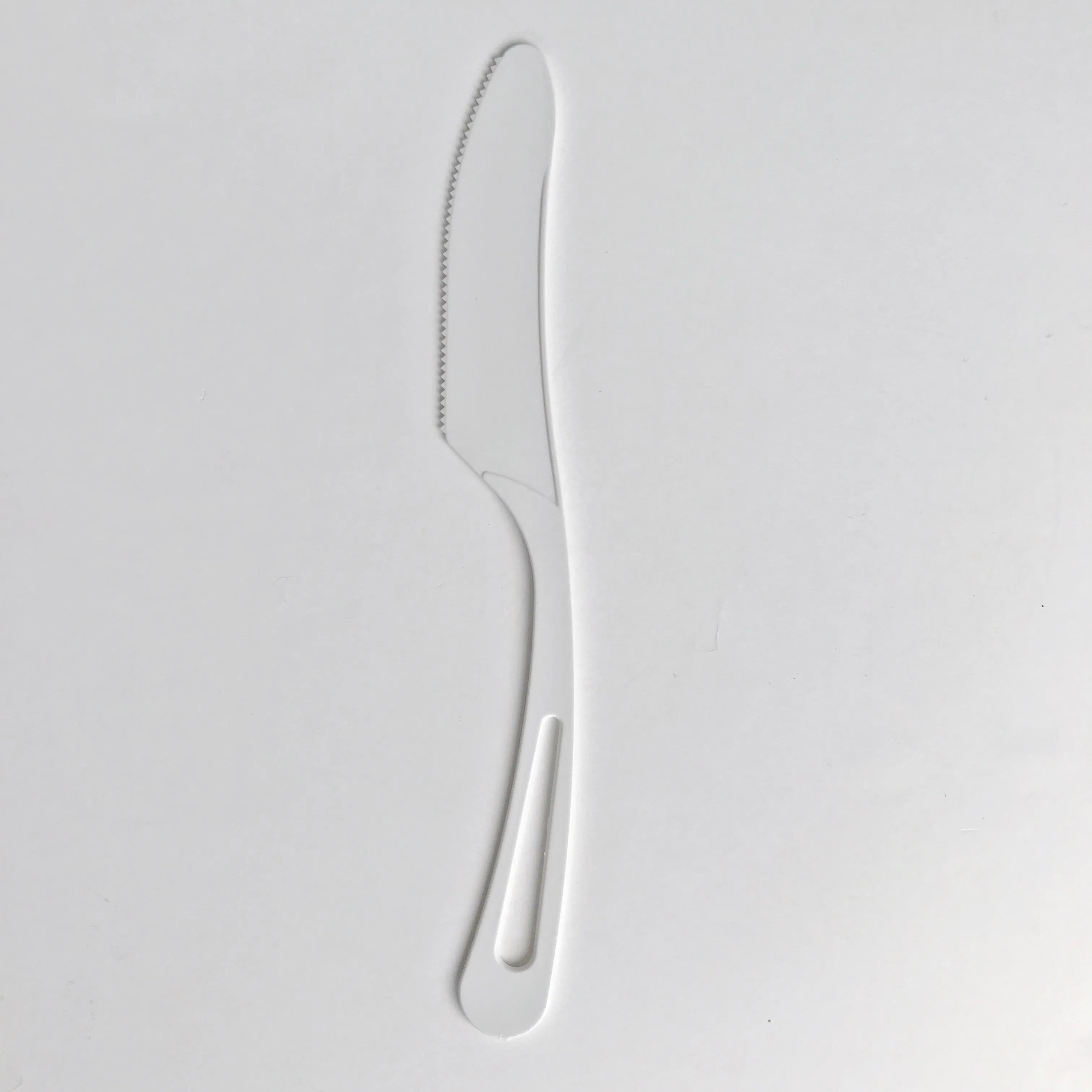Eco-Friendly Disposable Cutlery Set with Free Samples OEM Brand