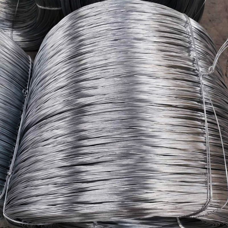 Bwg 20 21 Gi Binding Wire Swg 12 14 Hot Dipped Galvanized Iron Steel Metal Wire Rope Carbon Electro Electric Stainless Steel Wire Mesh Galvanized Wire for Fence