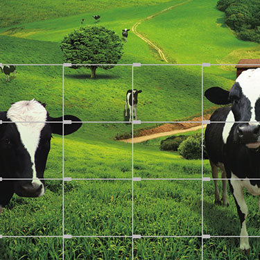 8 FT Galvanized Hinge Joint Knot Field Fence / Kraal Network Anping Supplier