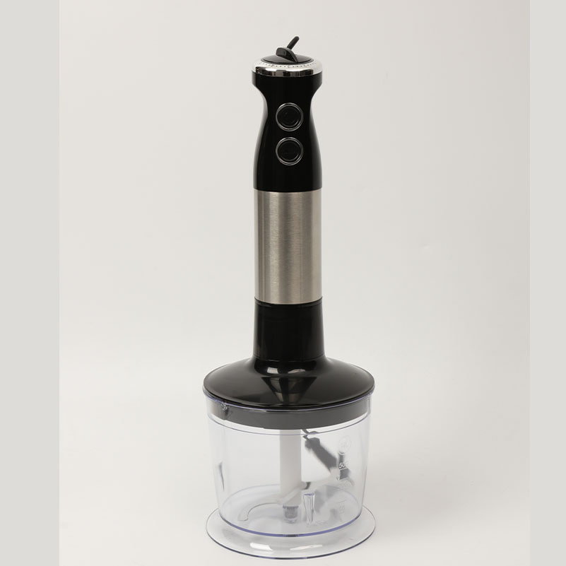 Multifunction 300W High Speed Home Soup Blender with Good Price