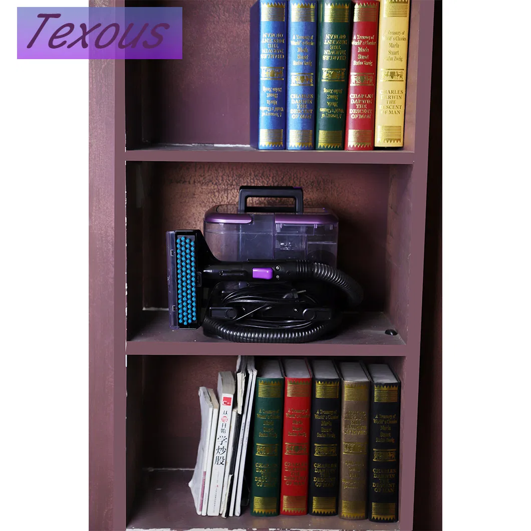 Household Commercial High Temperature Steam Spray Cleaning Machine Spot Carpet Vacuum Cleaner for Home Car