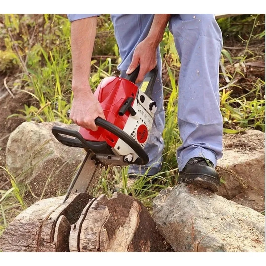 High Quality 55cc Chain Saw with 16in Chain and Bar TM-CS5800