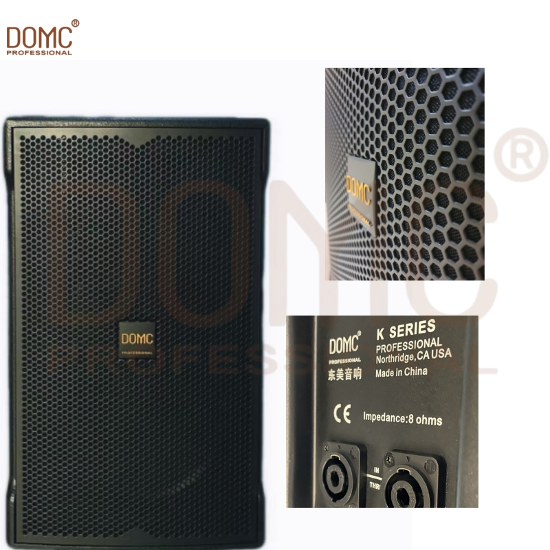 Premium 10-Inch Stage Speaker with High Power Output