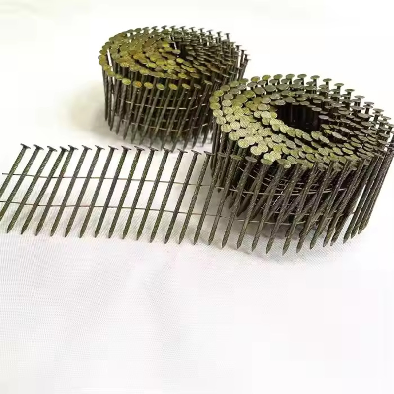 304 Stainless Steel Galvanized Screw Spiral Shank Coil Nails Pallets Coil Nails Clavos Helicoidal