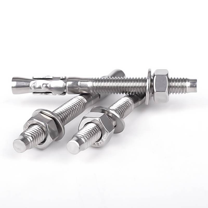 Direct Sale Factory Price 304 316 Stainless Steel Wedge Anchor Bolts