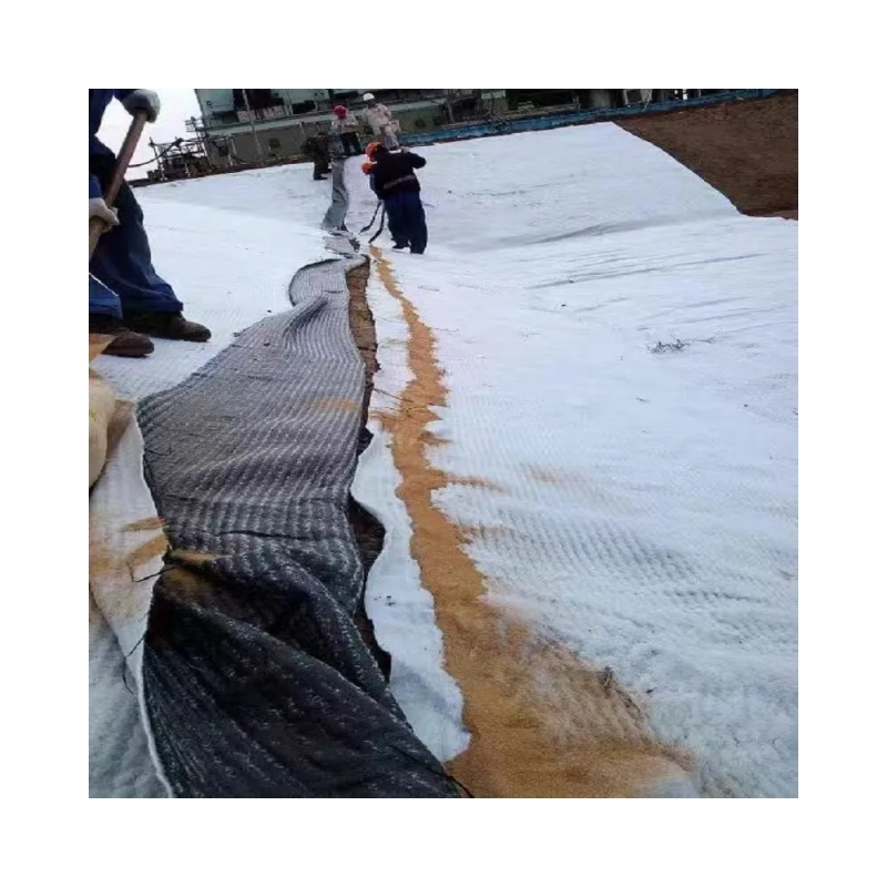 Advanced HDPE Gcl Geomembrane for Superior Waterproof Solutions