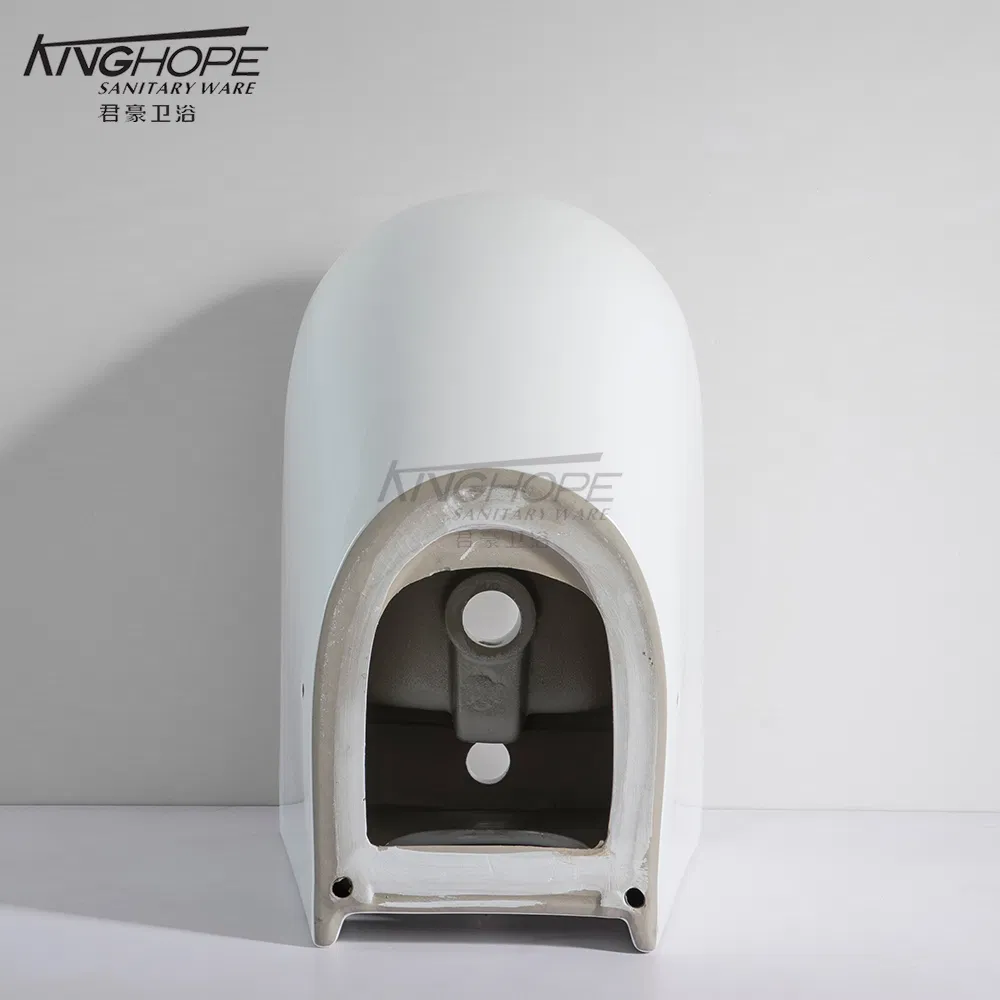 Minimalist Style Bathroom Furniture Ceramic Sanitary Ware Floor Standing Handheld Bidet