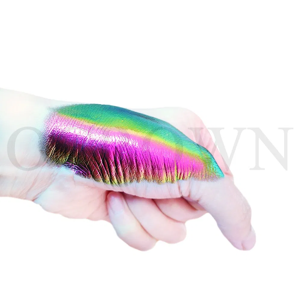 Chameleon Eyeshadow Powder Chrome Nail Pigment for Color Shift Car Paint