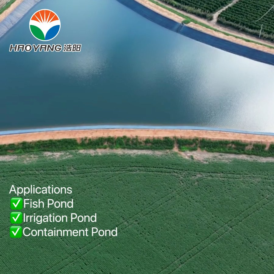 Excellent Corrosion-Resistant Material. Geomembrane Made in China, 1.0mm 2.0mm