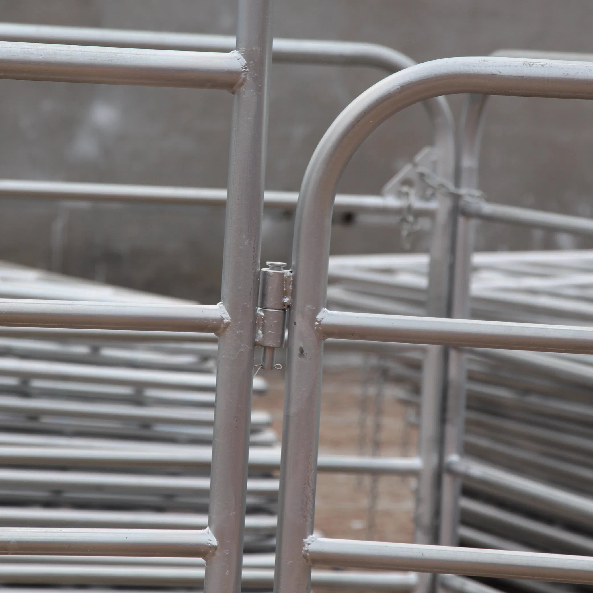 America Building Removable Temporary Fence Panels Outdoor Trellis Building Cloture Construction Site Temporary Fencing