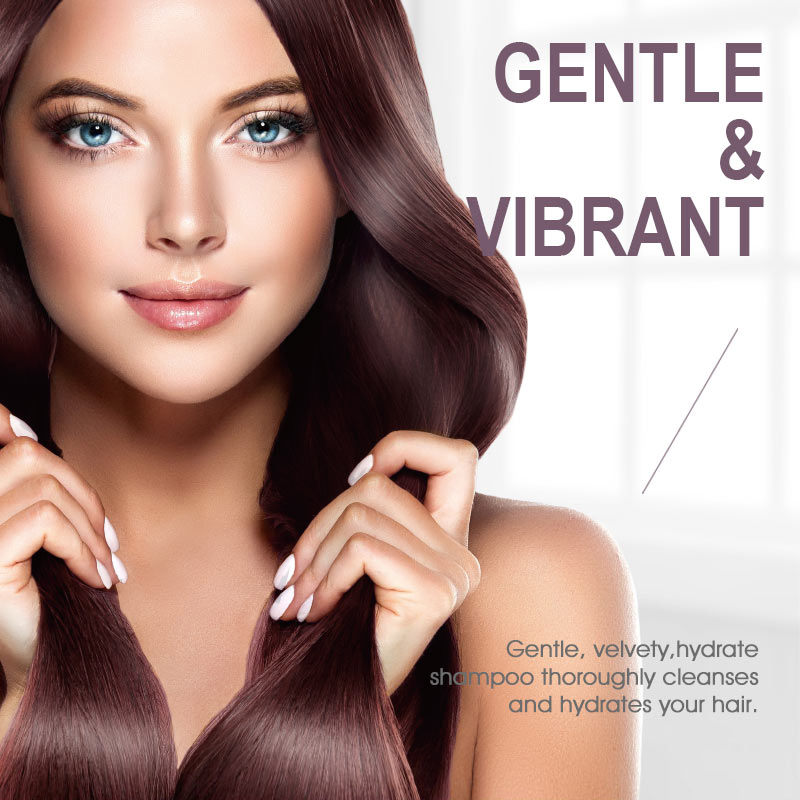 OEM Custom Organic Silk Smooth Shampoo with Vegan & Cruelty-Free 500ml