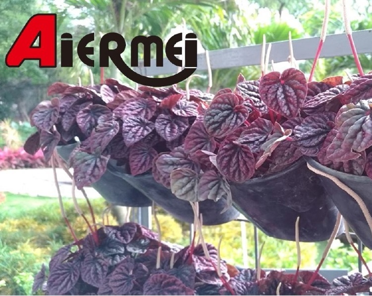 Кашпо вертикальное настенное с подвесными горшками