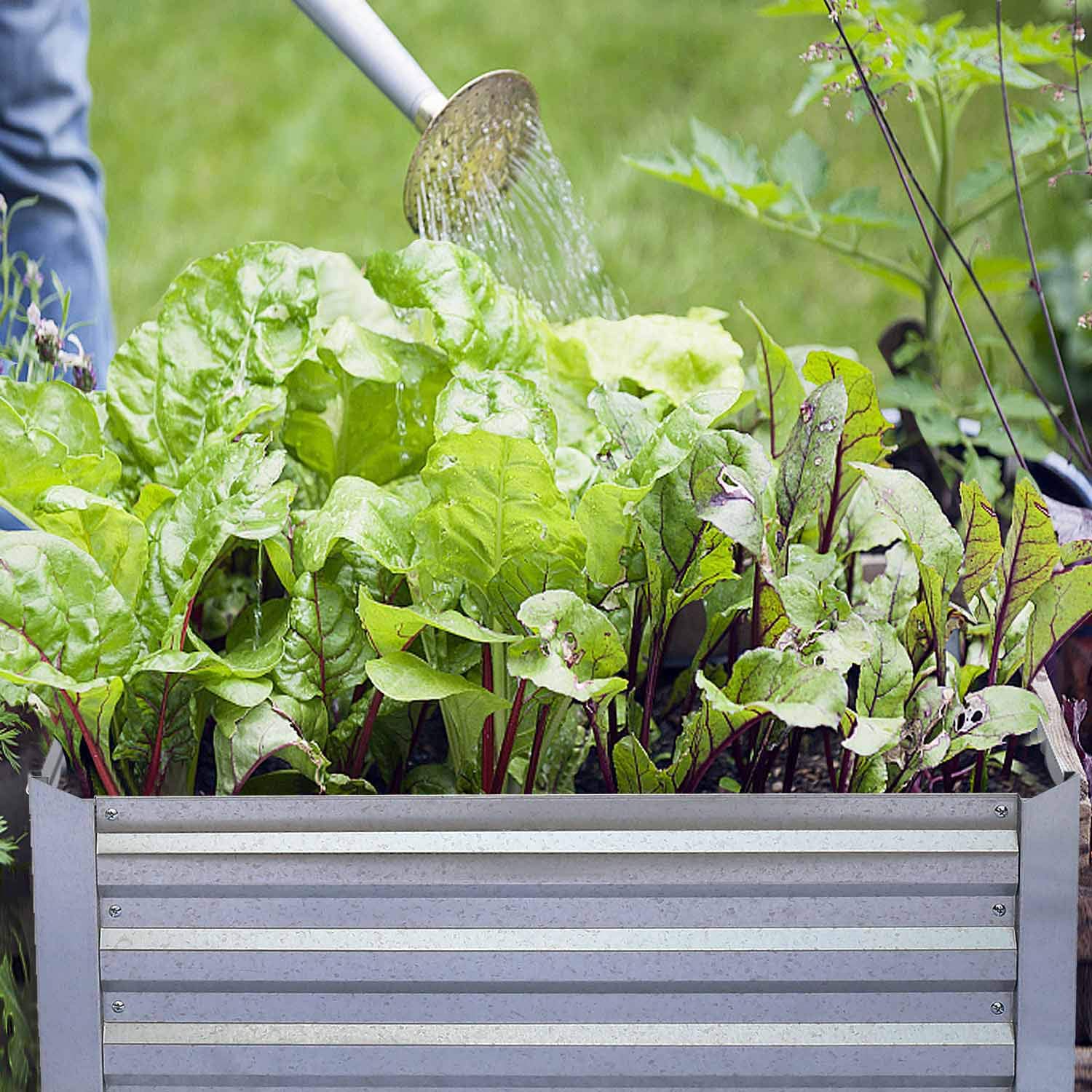 Грядка приподнятая оцинкованная сталь с поливом