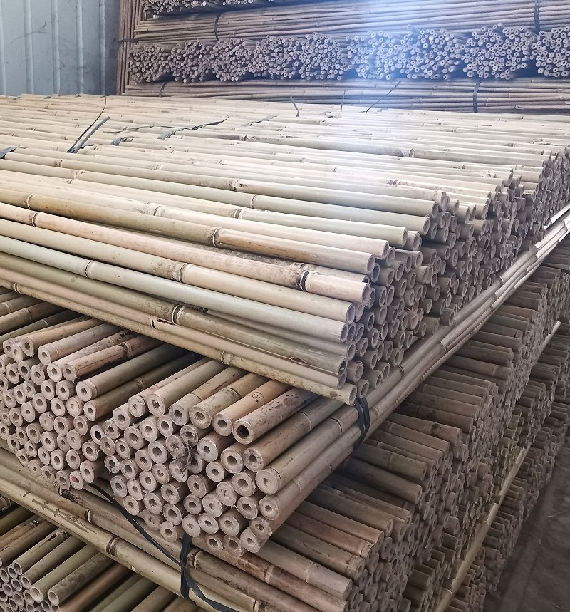Bamboo Stake /Bambusstab Natural and Affordable Bamboo Poles From China