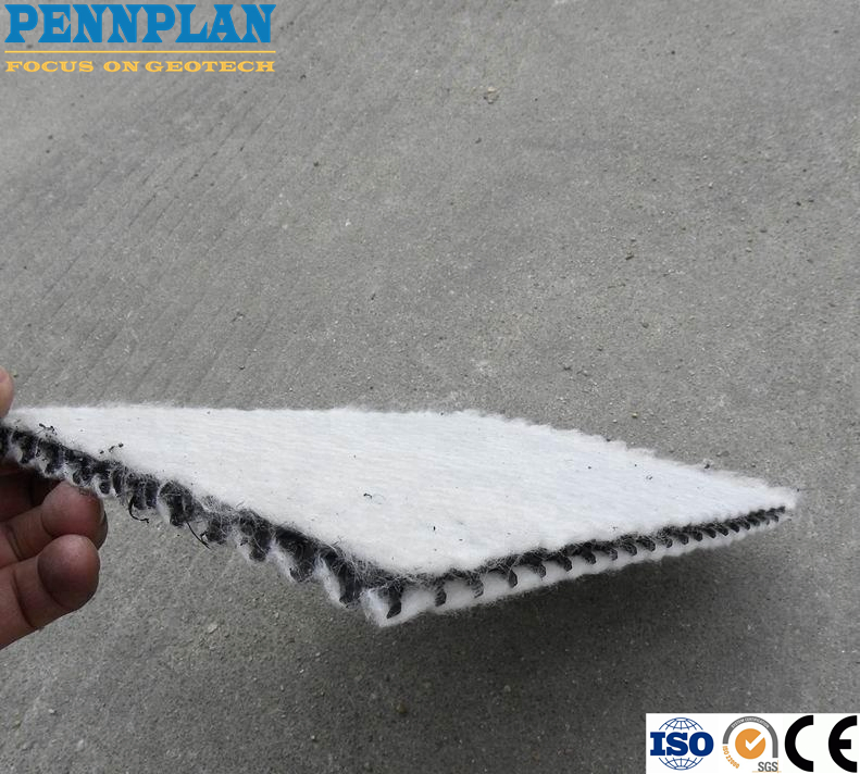 High Strength 3D Composite Drainage Geo Net Composite Dewatering Net