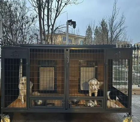 Waterproof Solid Wood Dog House for Outdoor Shelter