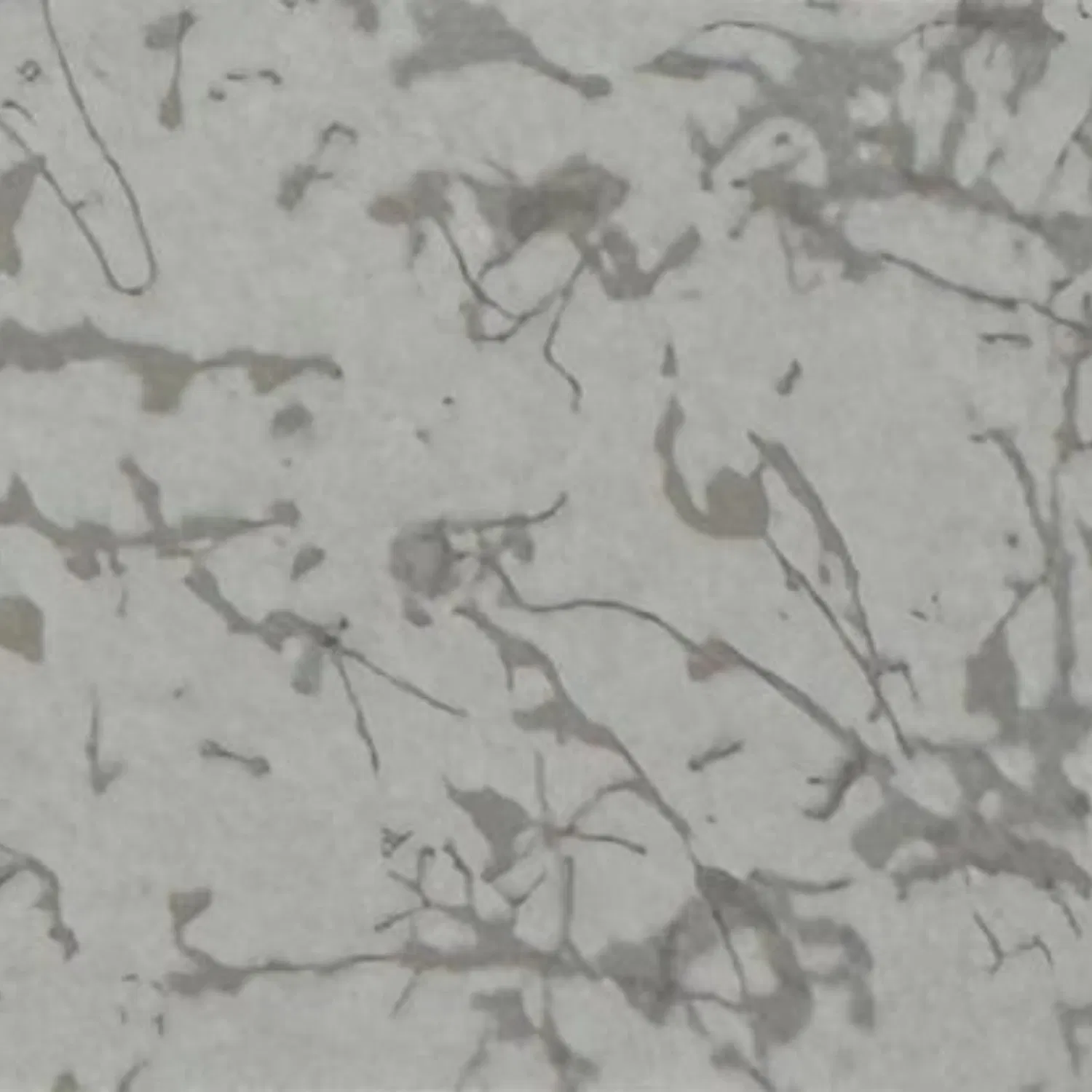 Surface Resistance Flexural Strength Properties Conductive Anti-Static Lamninate HPL