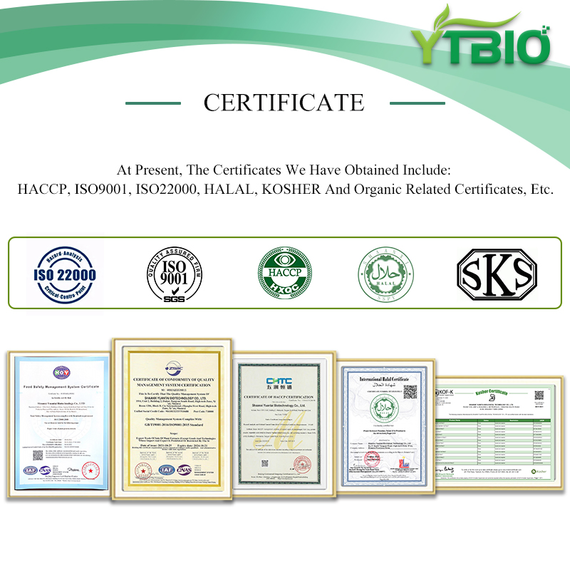 Ytbio Supply Fssc22000 Undecylenoyl Phenylalanine CAS 175357-18-3 Cosmetic Grade