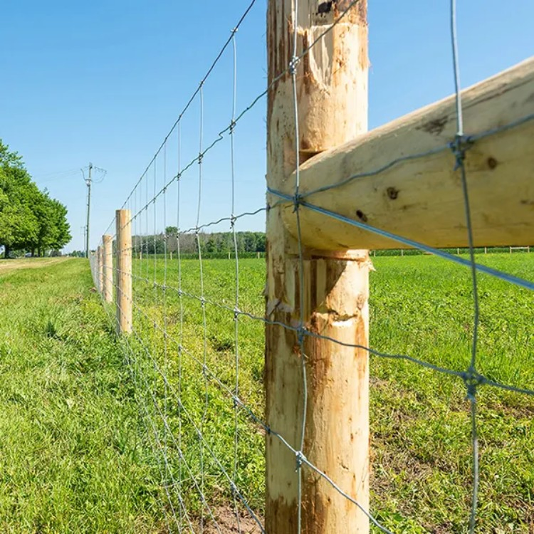 High Tensile Farm /Field /Cattle /Galvanized Filed Farm Fence/ Joint Wire Fence/Goat and Sheep Farm Fence/Grassland Fence