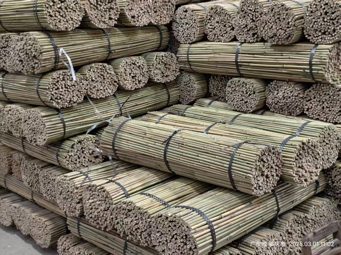 Tonkin Bamboo Pole Stake Stick Cane for Plant/Tree/Flower Support Bamboo M