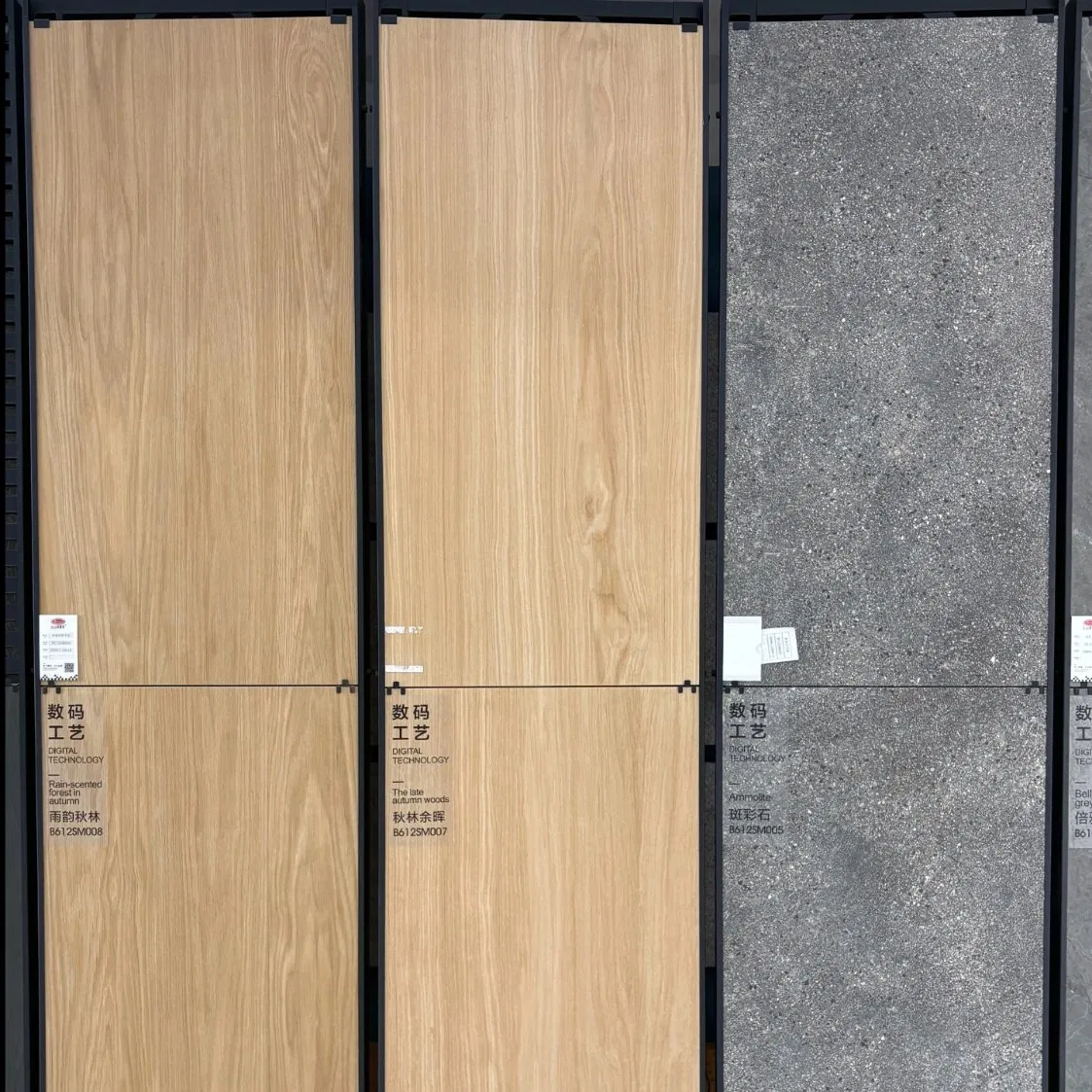 Керамогранитная плитка Beata Rustic для улицы, 600x1200 мм