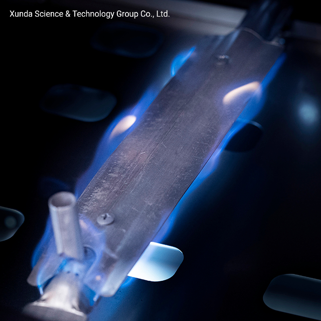 Xunda Outdoor Kitchen Stainless Steel Gas Cooker with Oven