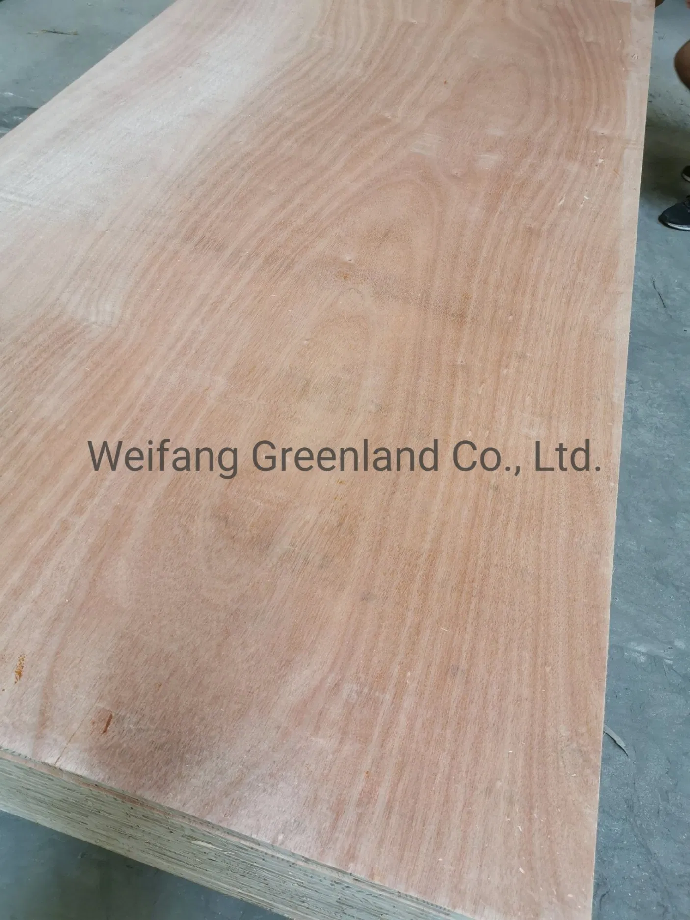 16mm, 18mm Good Quality Block Board for Construction for South Africa Market