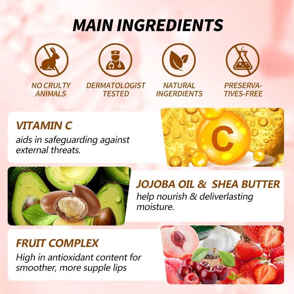 Private Label Vegan Hyaluronic Acid Vitamin C Lip Repair Care Balm Set