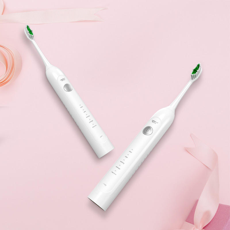 Sonic Electric Toothbrush with 2PCS Toothbrush Head Electric Toothbrush Motor Electric