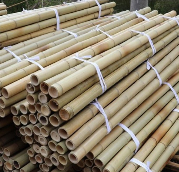 Wholesale Natural The Tree Sticks Bulk Large Bamboo Stake Bamboo Poles