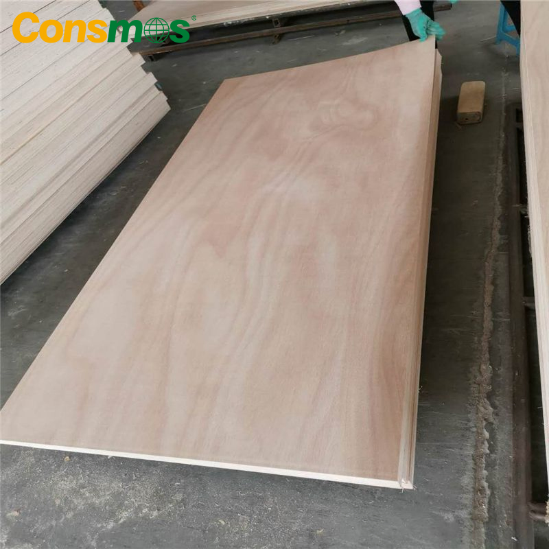 Natural Wood Veneer and Melamine Paper Surface High Quality HDF/MDF Door Skin