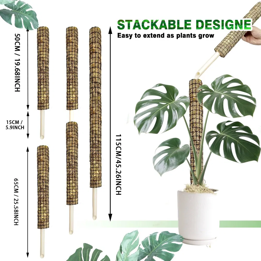 Stackable Natural Sphagnum Moss Pole for Bird of Paradise & Tropical Climbing Plants