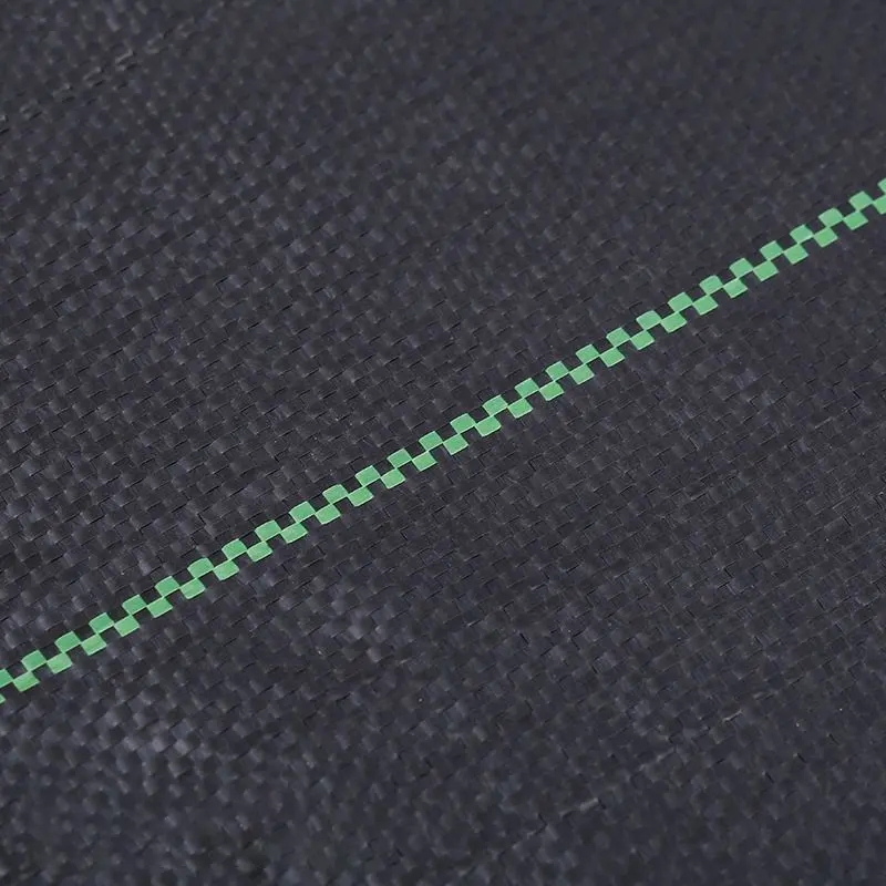 Anti Grass PP Woven Grass Control Cloth Plant Ground Cover Landscape Black Plastic Weed Barrier