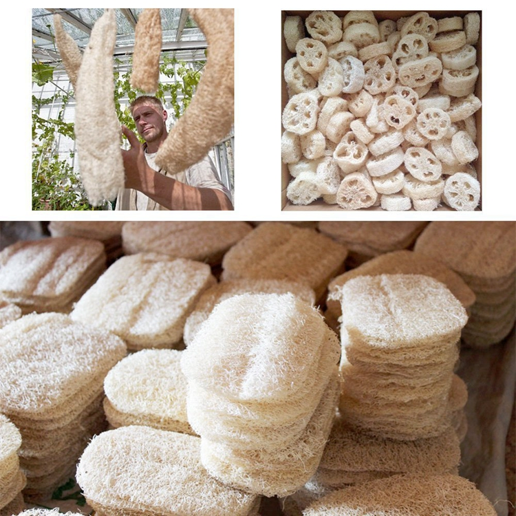 Wholesale Natural Loofah Bath Scrubber Pad Cleaning Pad