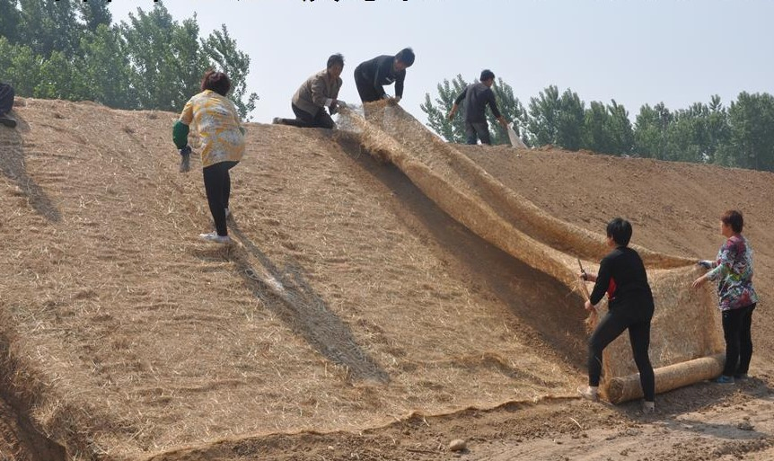 200g 300g 400g 500g 600g Erosion Control Blanket Coir Coconut Fiber Geotextile for Slope Reinforcement