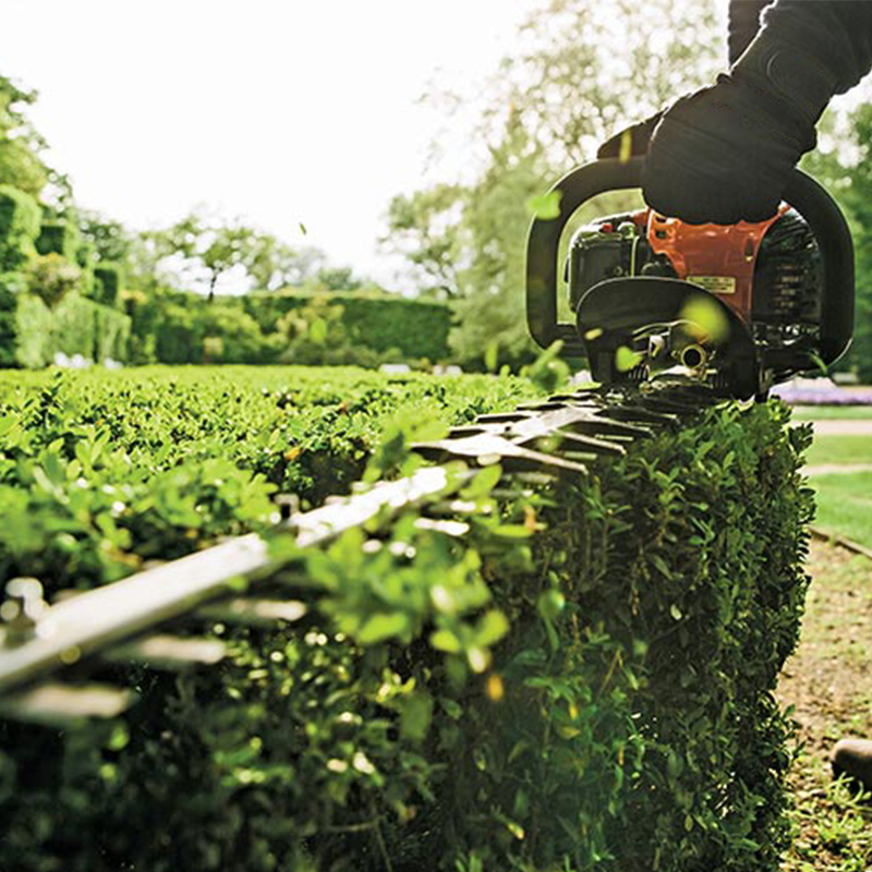 CE Approved High Quality 25.4cc Cordless Tea Gas Powered Multi-Function Hedge Trimmer