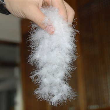 Environmentally Friendly Price Offers Cotton Best-Selling Down Pillow Goose Down Pillow