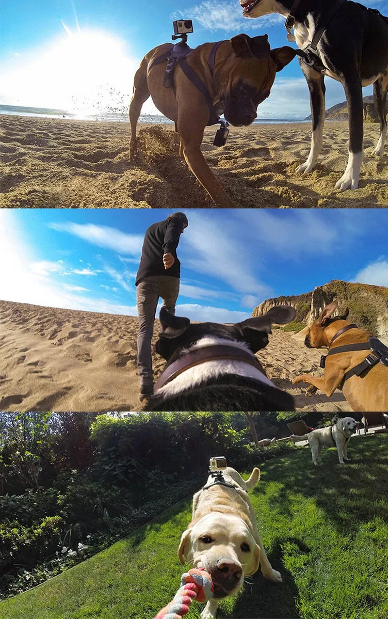 Adjustable Pet Dog Chest Belt for Go PRO Camera Action Camera Accessories