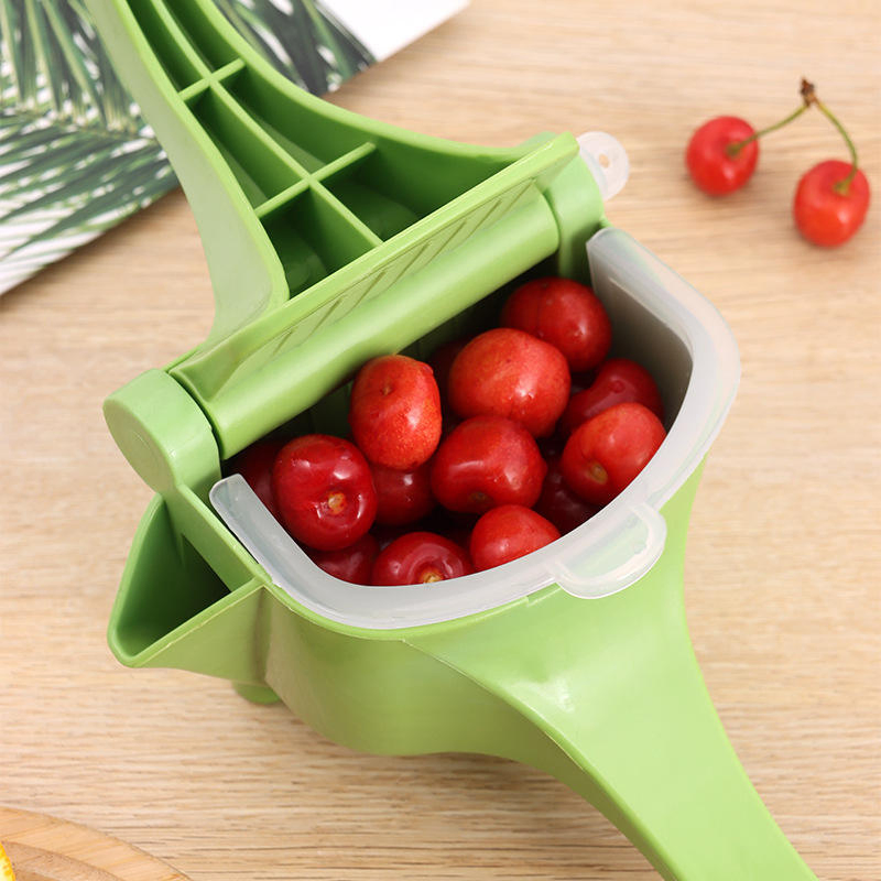 Portable Manual Hand Press Juicer for Fruit and Vegetable