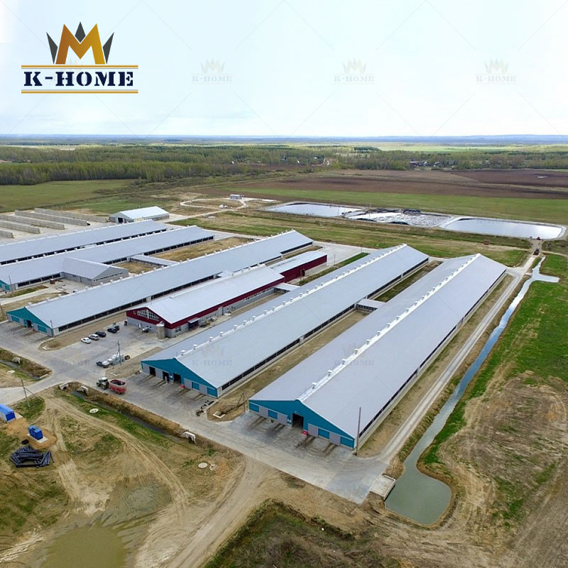 China Steel Structure Building Modular Poultry House Chicken Farm House